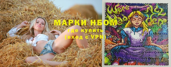 молекула духа Алексеевка