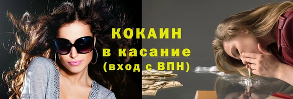 твердый Алзамай