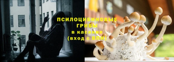 винт Алексин