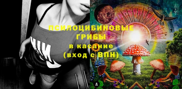 винт Алексин