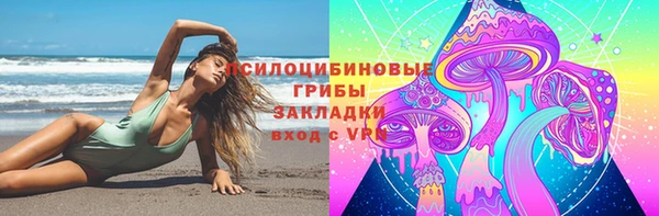 винт Алексин