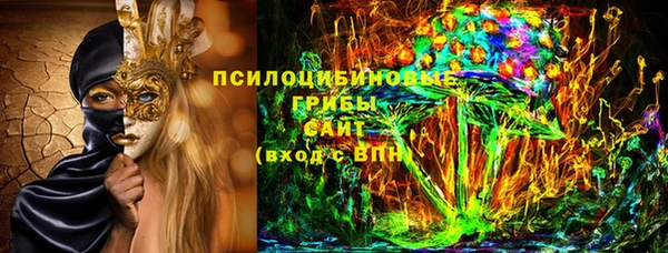 молекула духа Алексеевка