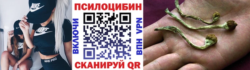 Псилоцибиновые грибы мухоморы  ссылка на мегу онион  Новоульяновск 
